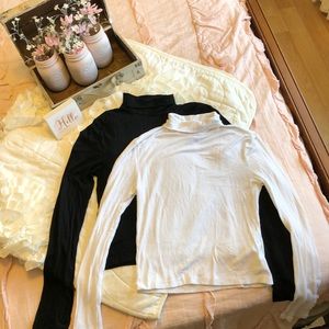 Cropped Turtle Necks